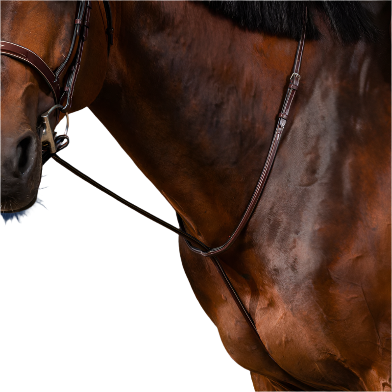 Dyon - Martingale fixe US Collection brun | - Ohlala