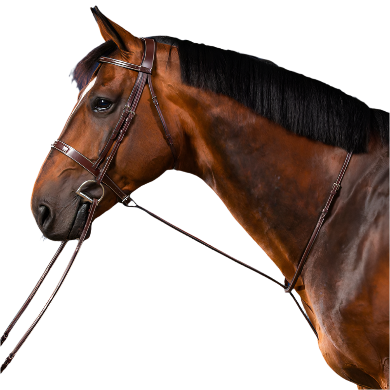 Dyon - Martingale fixe US Collection brun | - Ohlala