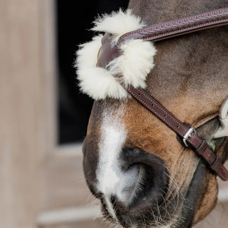 Dyon - Bridon muserolle croisée tressée havane | - Ohlala