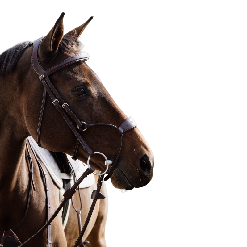 Dyon - Bridon muserolle hybride New English Collection havane | - Ohlala