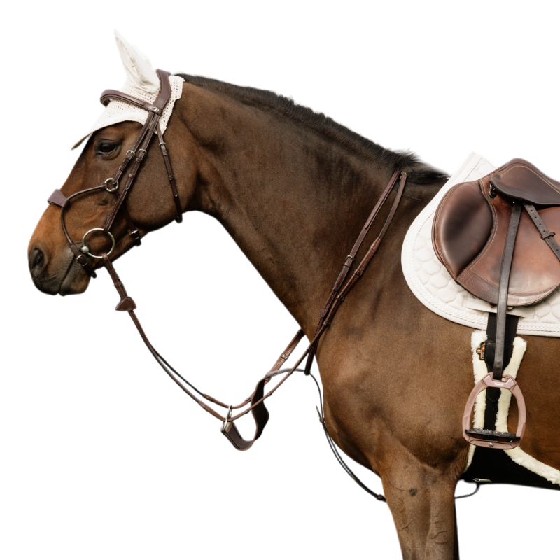 Dyon - Bridon muserolle hybride New English Collection havane | - Ohlala