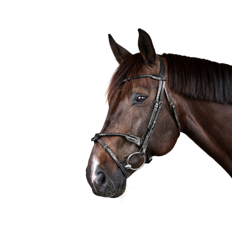 Dyon - Braided bridle with removable noseband New English Collection black