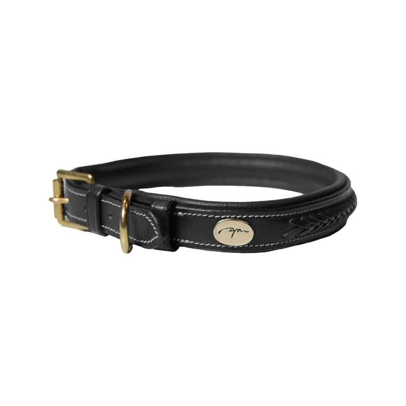 Dyon - Collier pour chien tressé plat noir | - Ohlala
