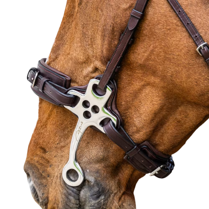 Dyon - Hackamore Nieuwe Engelse Collectie bruin