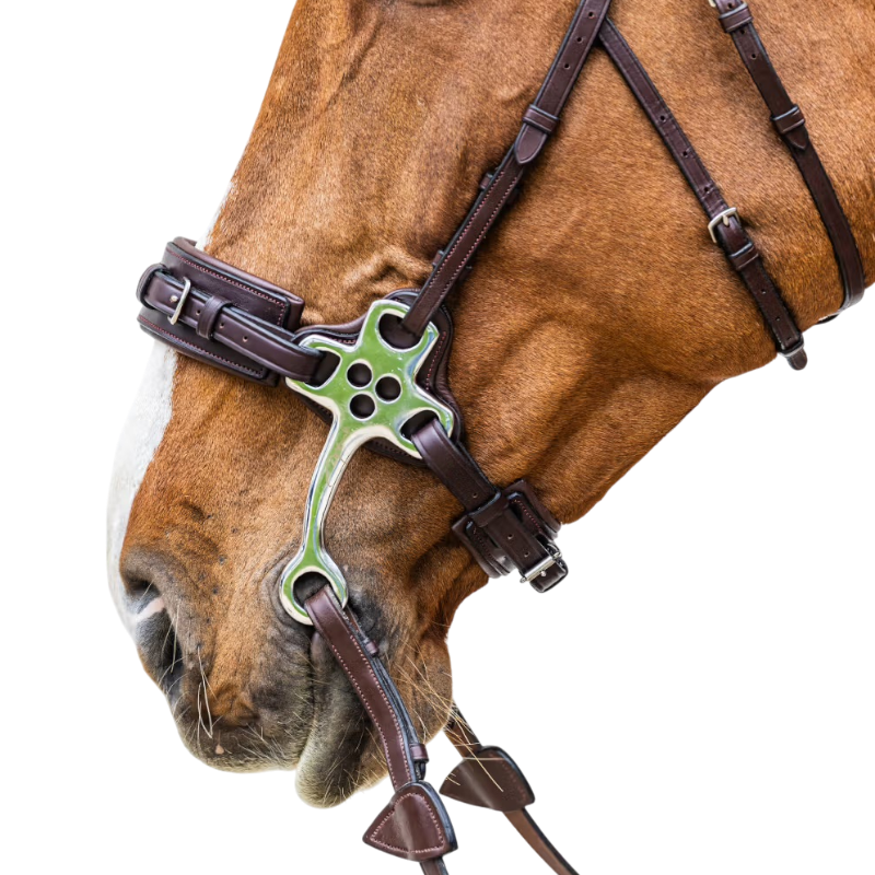 Dyon - Hackamore Nieuwe Engelse Collectie bruin