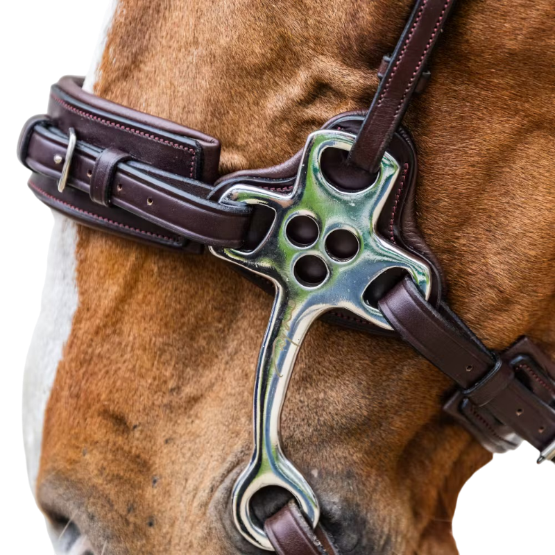 Dyon - Hackamore Nieuwe Engelse Collectie bruin