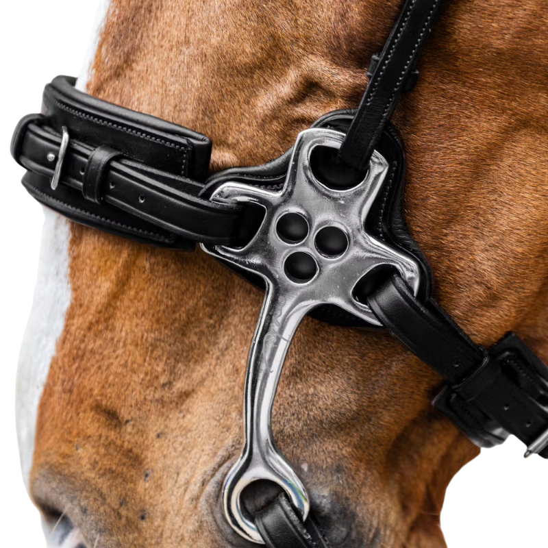 Dyon - Hackamore Nieuwe Engelse Collectie zwart