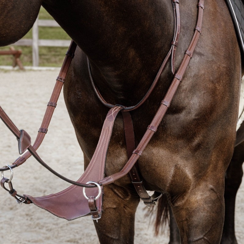 Dyon - Martingale pleine en cuir souple New English Collection marron | - Ohlala