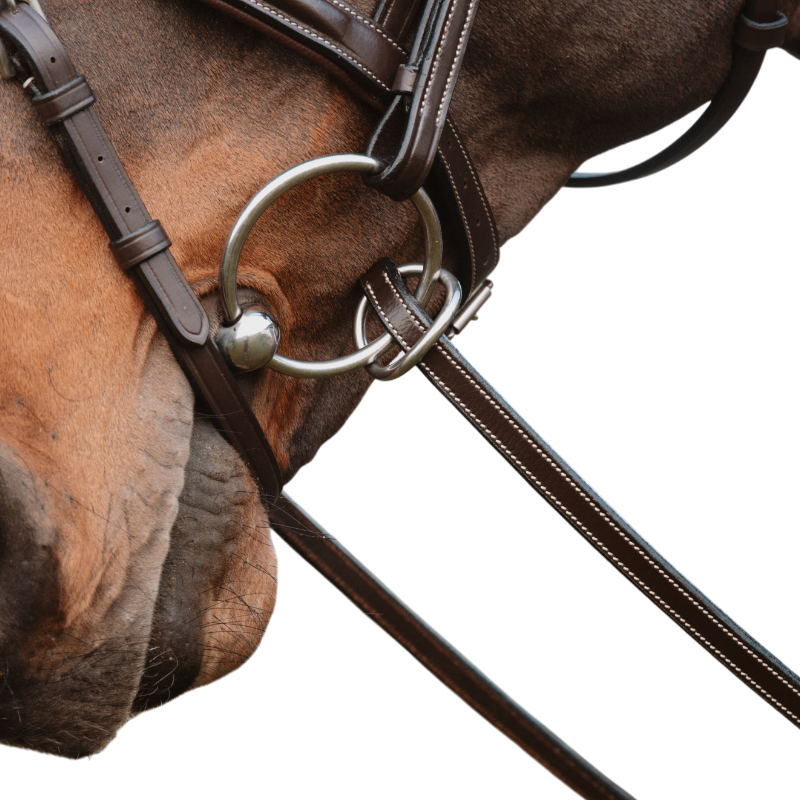 Dyon - Rênes caoutchouc 1/2 avec 7 arrêtoirs fermeture à anneaux marron | - Ohlala