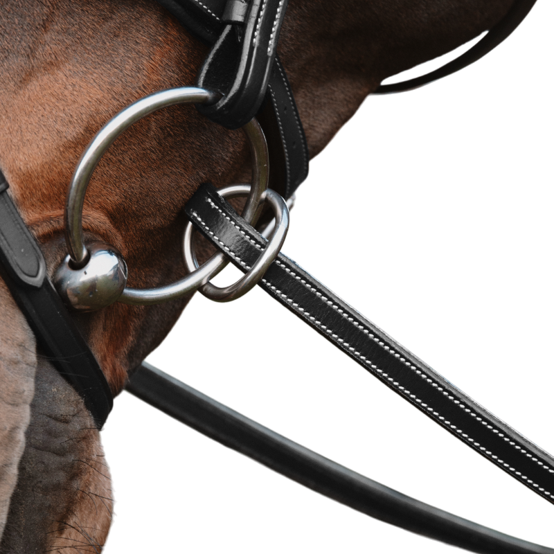 Dyon - Rênes caoutchouc 1/2 avec 7 arrêtoirs fermeture à anneaux noir | - Ohlala