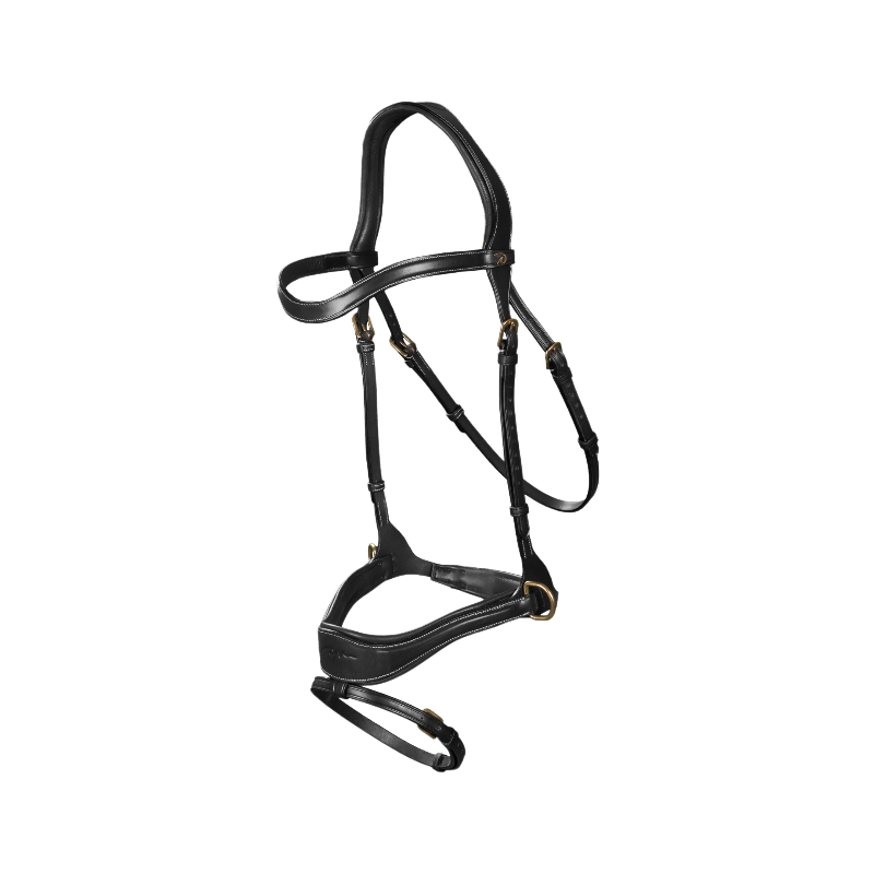 Dyon - Bridon D Motion D Collection têtière anatomique noir | - Ohlala