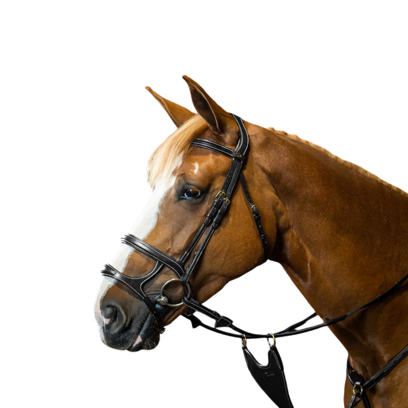 Dyon - Bridon double muserolle D Collection noir | - Ohlala