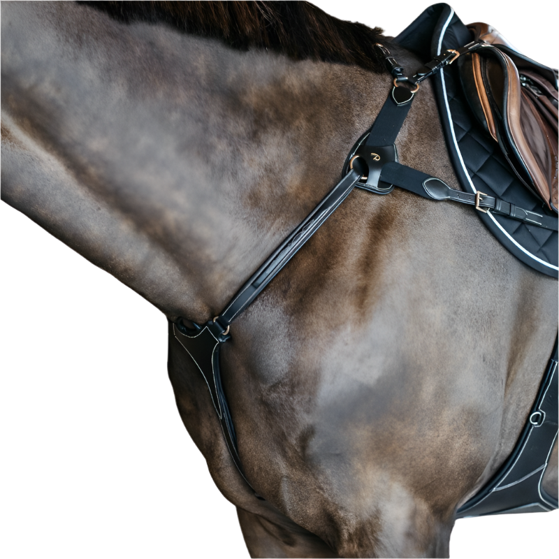 Dyon - Collier de chasse 5 points élastique D Collection noir | - Ohlala