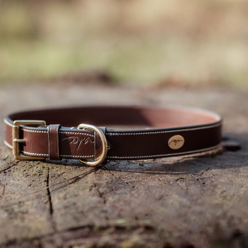 Dyon - Collier pour chien cuir Plat brun | - Ohlala