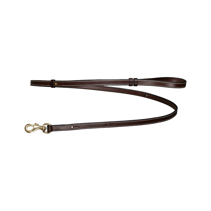 Dyon - Laisse pour chien Ajustable marron | - Ohlala