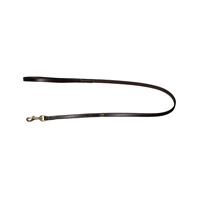 Dyon - Laisse pour chien Classique marron | - Ohlala