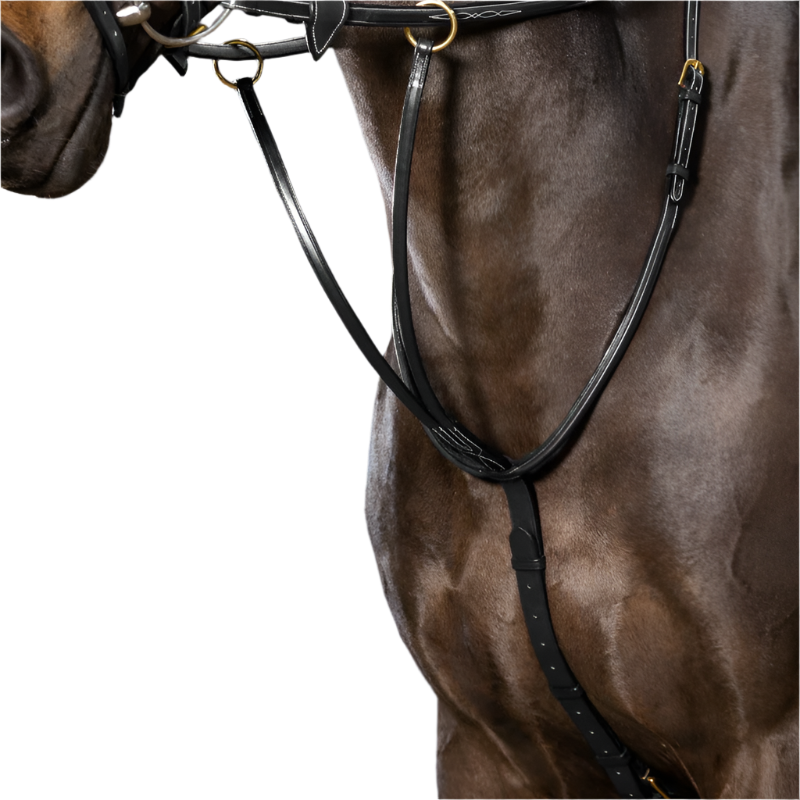 Dyon - Martingale à anneaux D Collection noir | - Ohlala