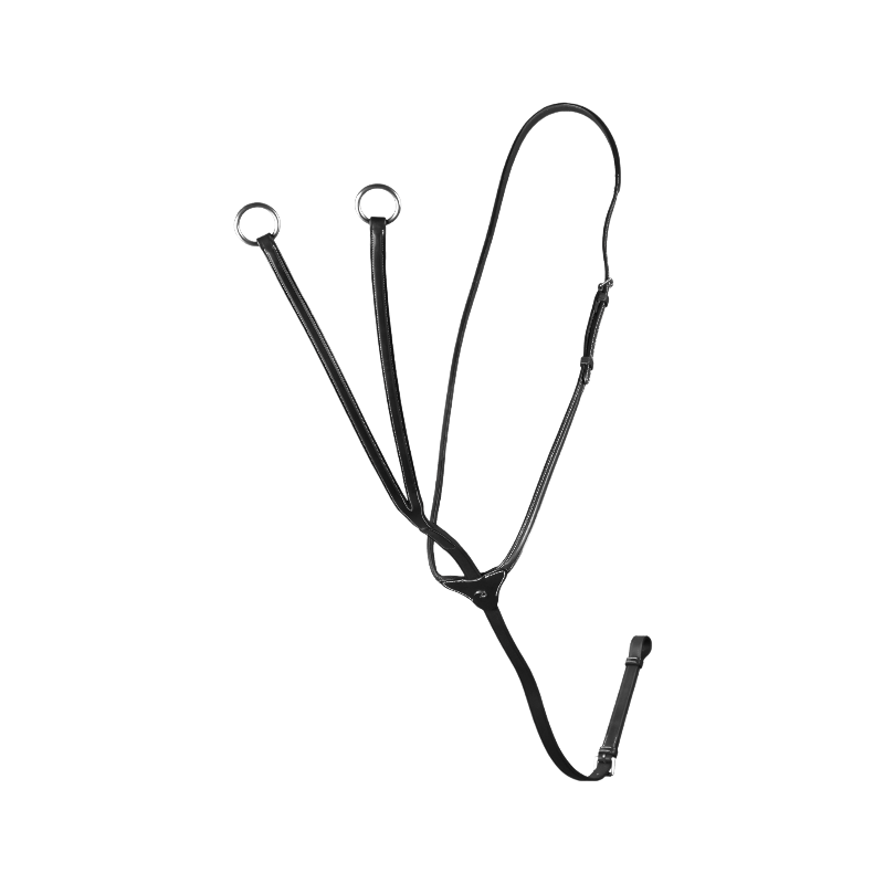 Dyon - Martingale à anneaux US Collection noir | - Ohlala