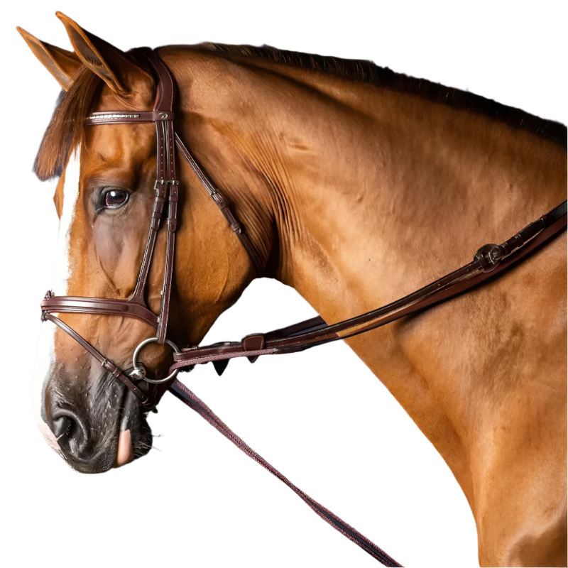Dyon - Rênes allemandes en cuir et nylon 5/8 New English Collection brun | - Ohlala