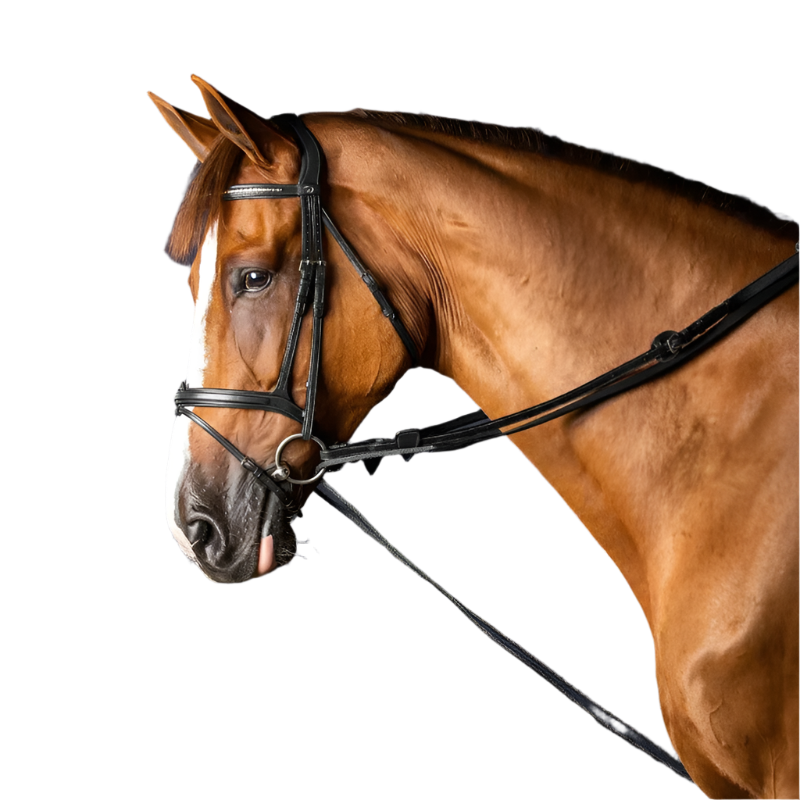 Dyon - Rênes allemandes en cuir et nylon 5/8 New English Collection noir | - Ohlala