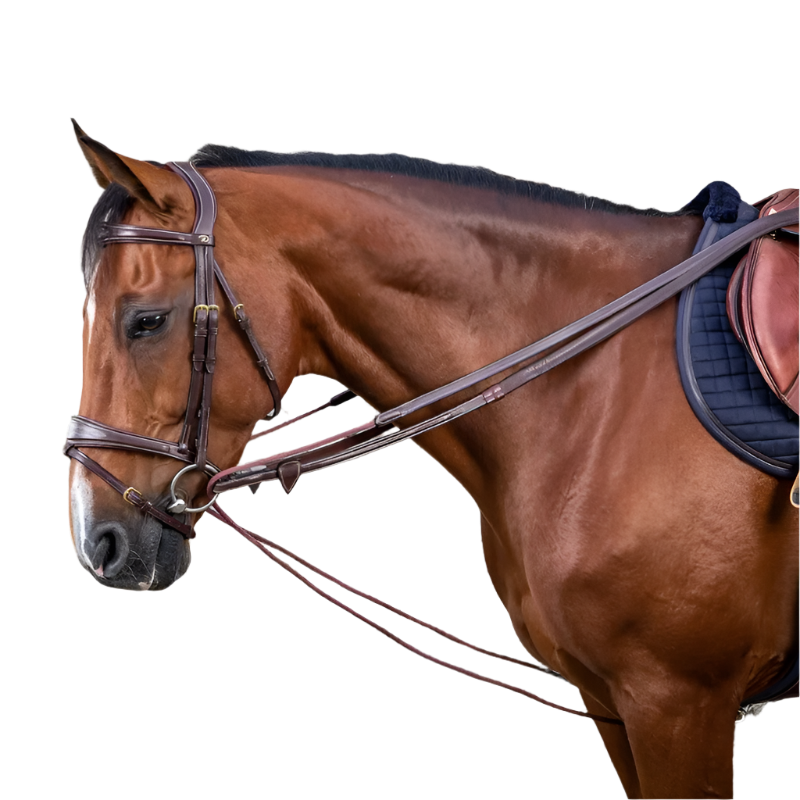 Dyon - Rênes allemandes nylon et cuir 5/8 D Collection brun | - Ohlala