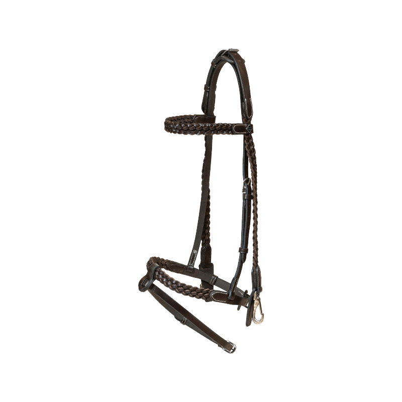 Dyon - Bridon d'entraînement Tressé Working By Dy'on marron | - Ohlala