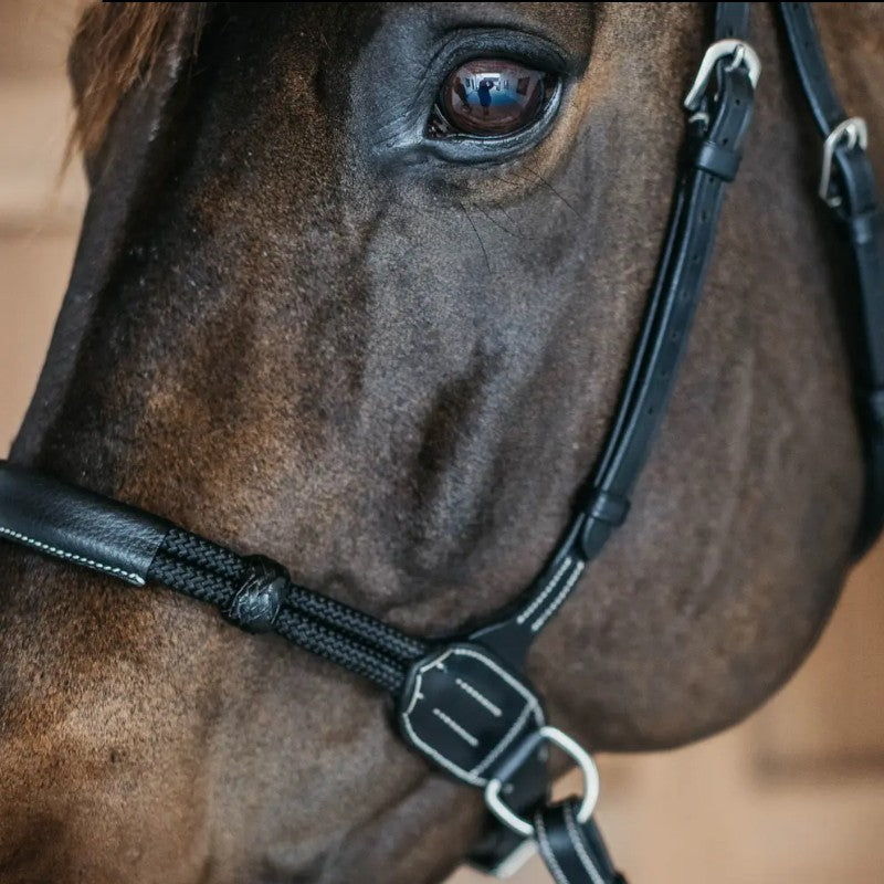 Bridon sans mors Working by Dy'on noir | - Ohlala