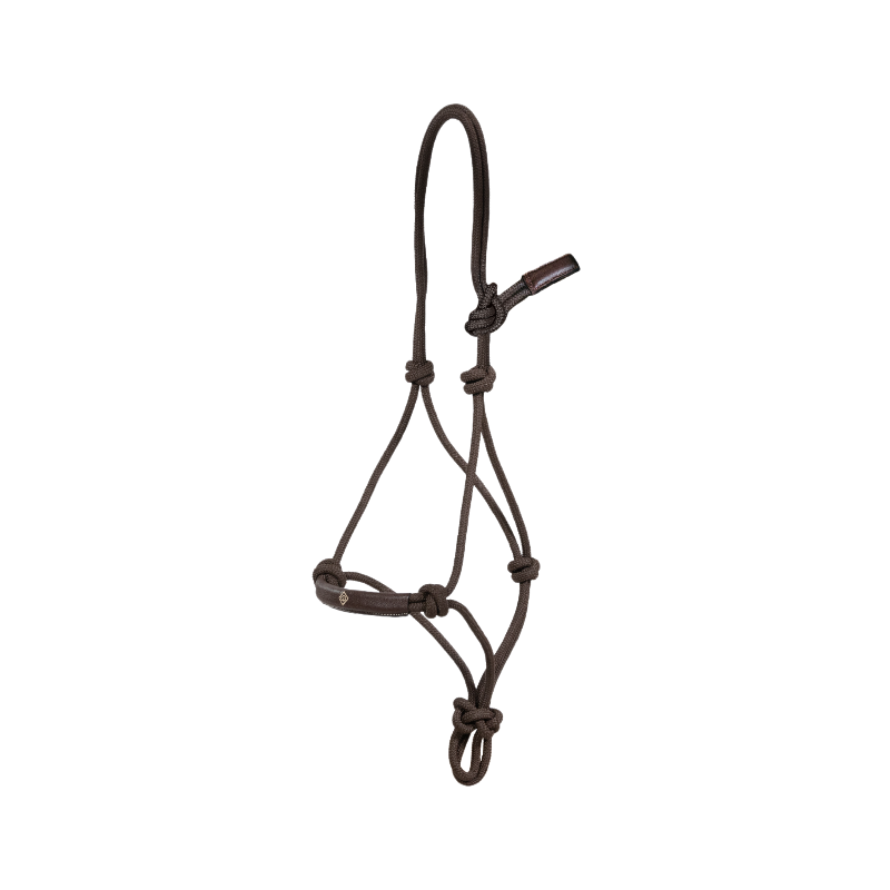 Dyon - Licol d'entraînement Working by Dyon marron | - Ohlala