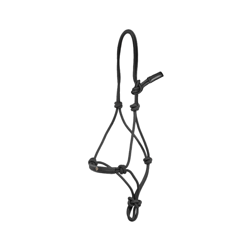 Dyon - Licol d'entraînement Working by Dyon noir | - Ohlala