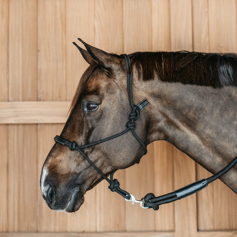 Dyon - Licol d'entraînement Working by Dyon noir | - Ohlala