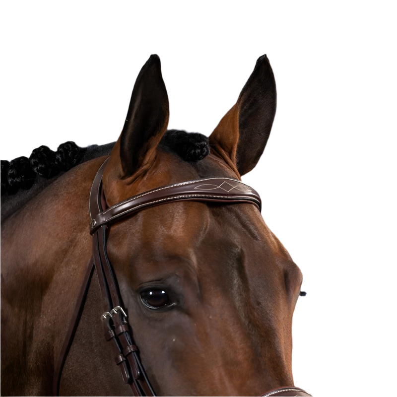 Dyon - Frontal droit anatomique US Collection marron | - Ohlala