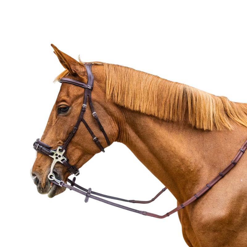 Dyon - Rênes caoutchouc 5/8 avec arrêtoirs et mousqueton Working brun