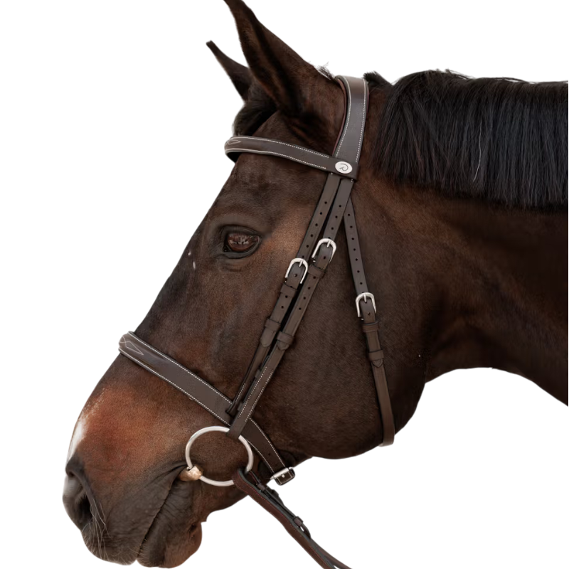 Dyon - Bridon Hunter marron | - Ohlala