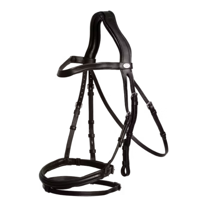 Dyon - Bridon muserolle combinée Flash noir | - Ohlala