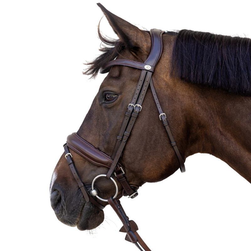 Dyon - Bridon muserolle Medium marron | - Ohlala