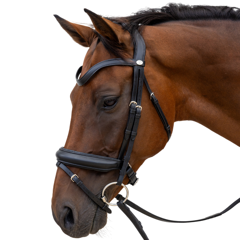 Dyon - Bridon muserolle Medium noir | - Ohlala