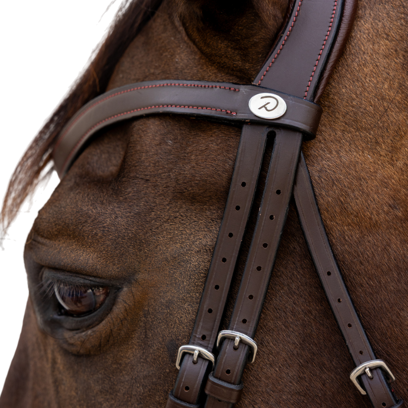 Dyon - Bridon muserolle combinée Flash marron | - Ohlala