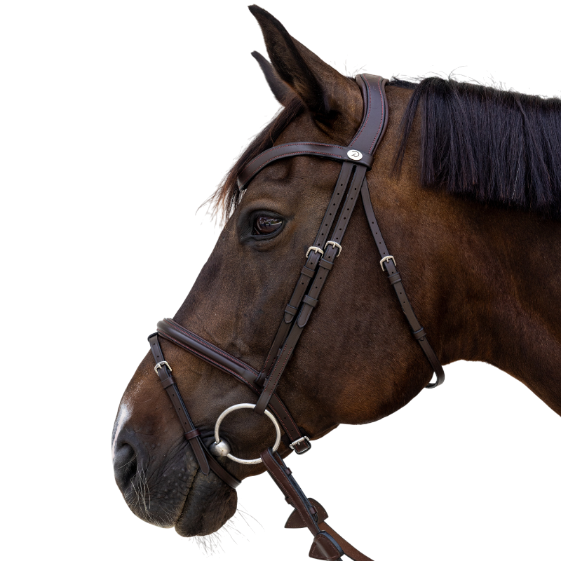 Dyon - Bridon muserolle combinée Flash marron | - Ohlala