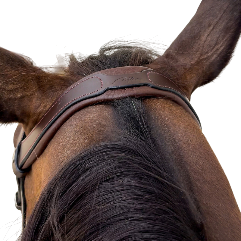 Dyon - Bridon muserolle combinée Flash marron | - Ohlala