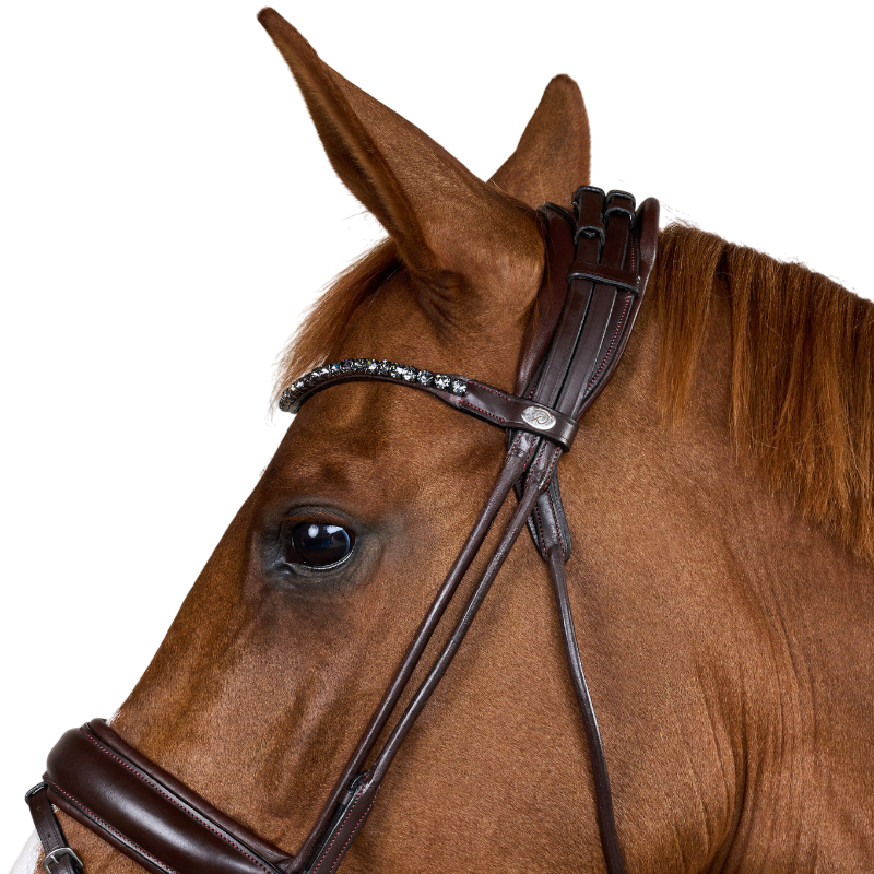 Dyon - Bridon muserolle large Round avec frontal à cristaux marron | - Ohlala