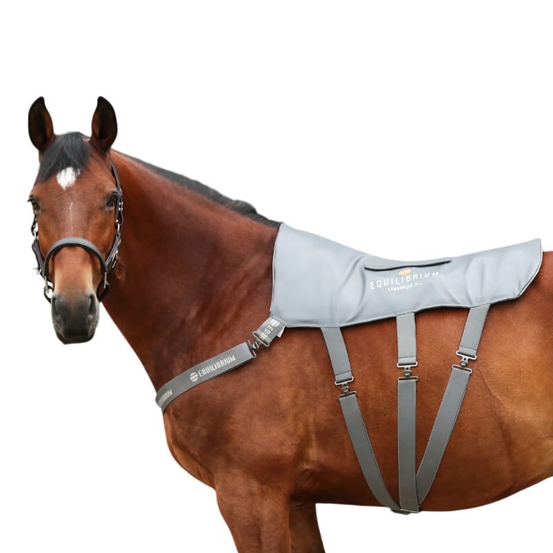 Equilibrium - Tapis de massage | - Ohlala