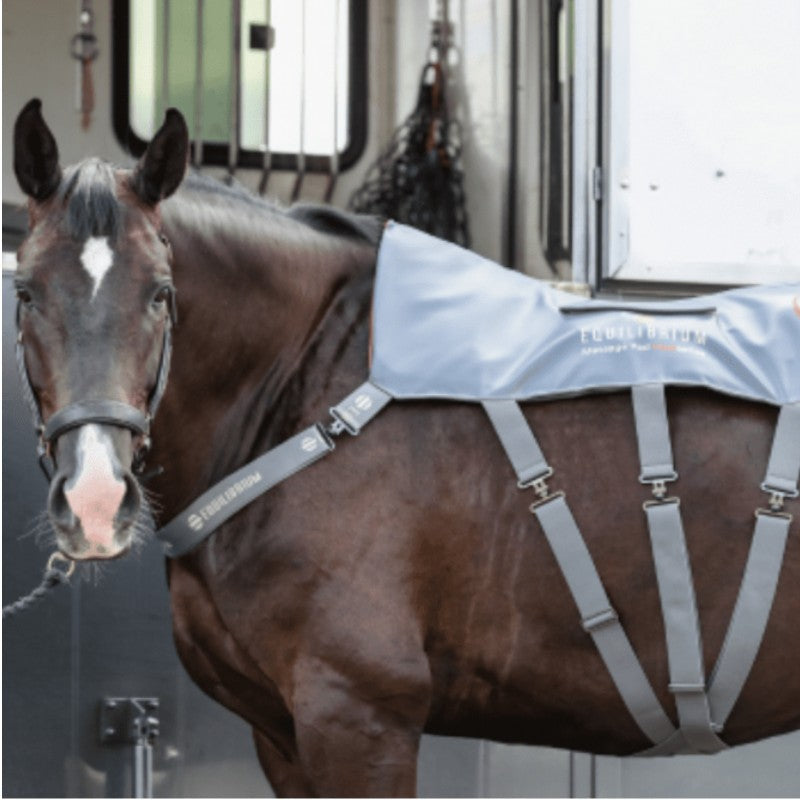 Equilibrium - Tapis de massage chauffant | - Ohlala