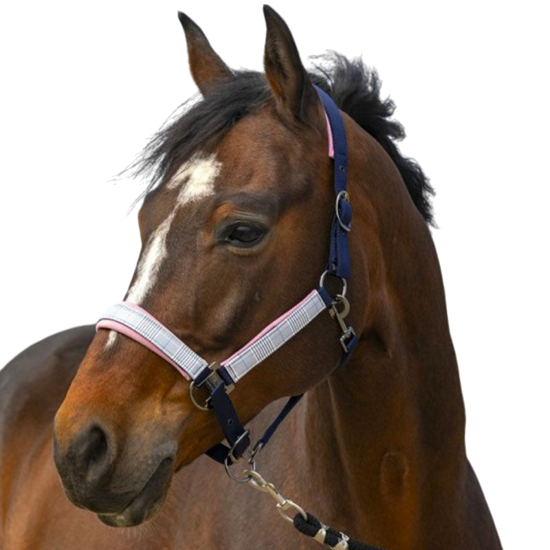 Equithème - Licol nylon Check marine/ rose | - Ohlala