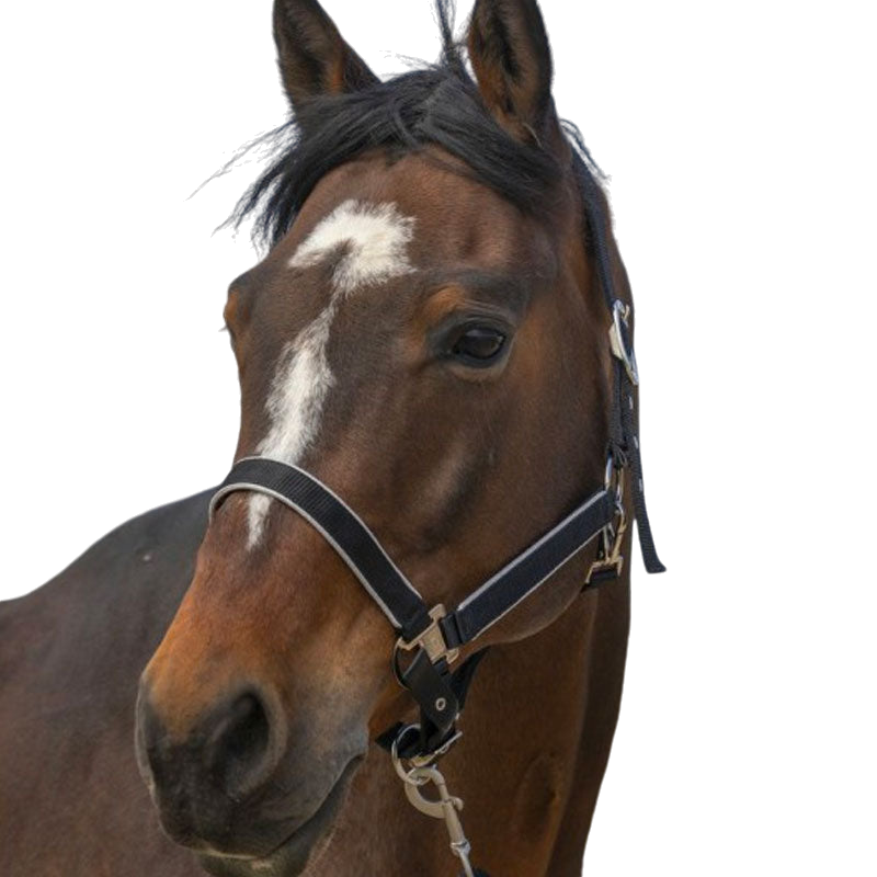 Equithème - Licol nylon Light noir | - Ohlala