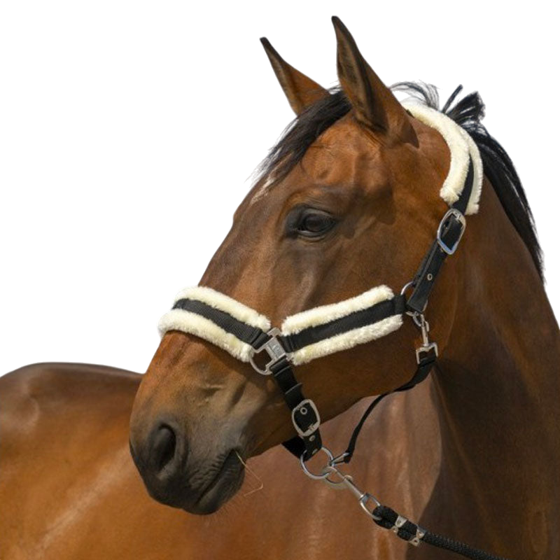 Equithème - Licol nylon Mouton noir/ blanc | - Ohlala