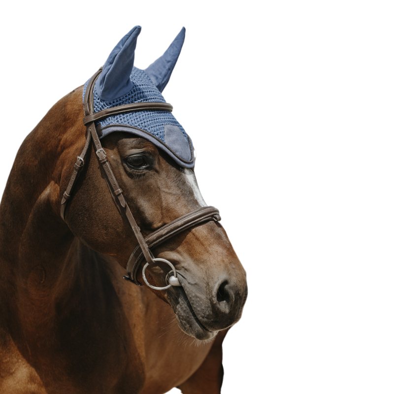 Equithème - Bonnet pour chevaux Chic bleu | - Ohlala