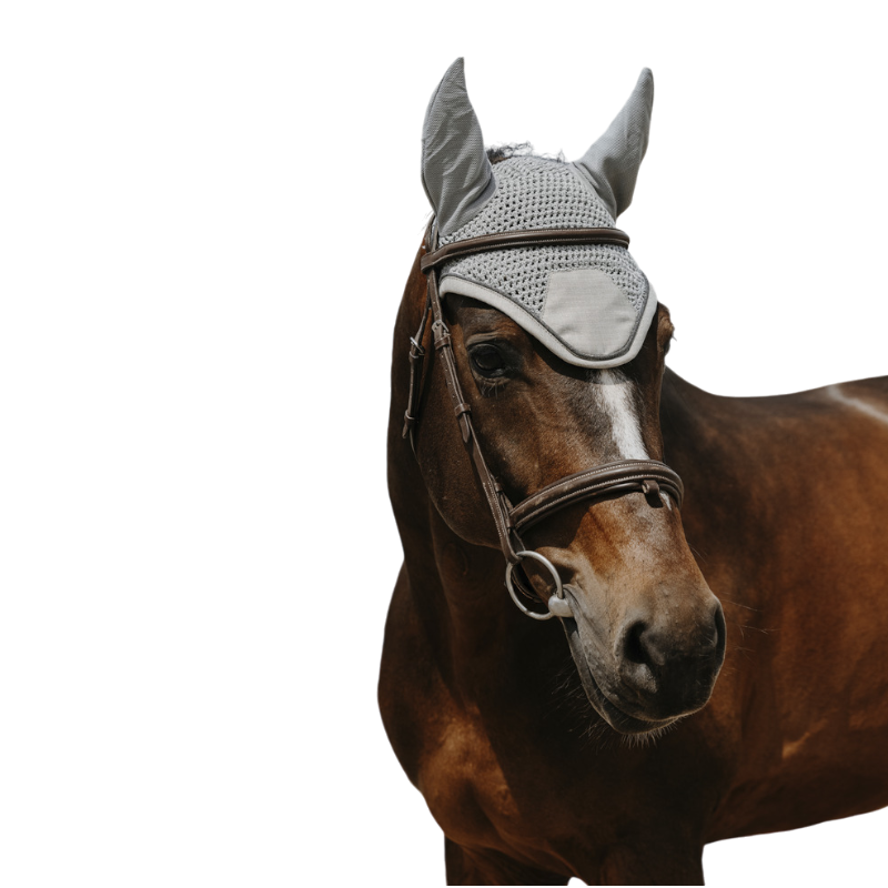 Equithème - Bonnet pour chevaux Chic gris clair | - Ohlala