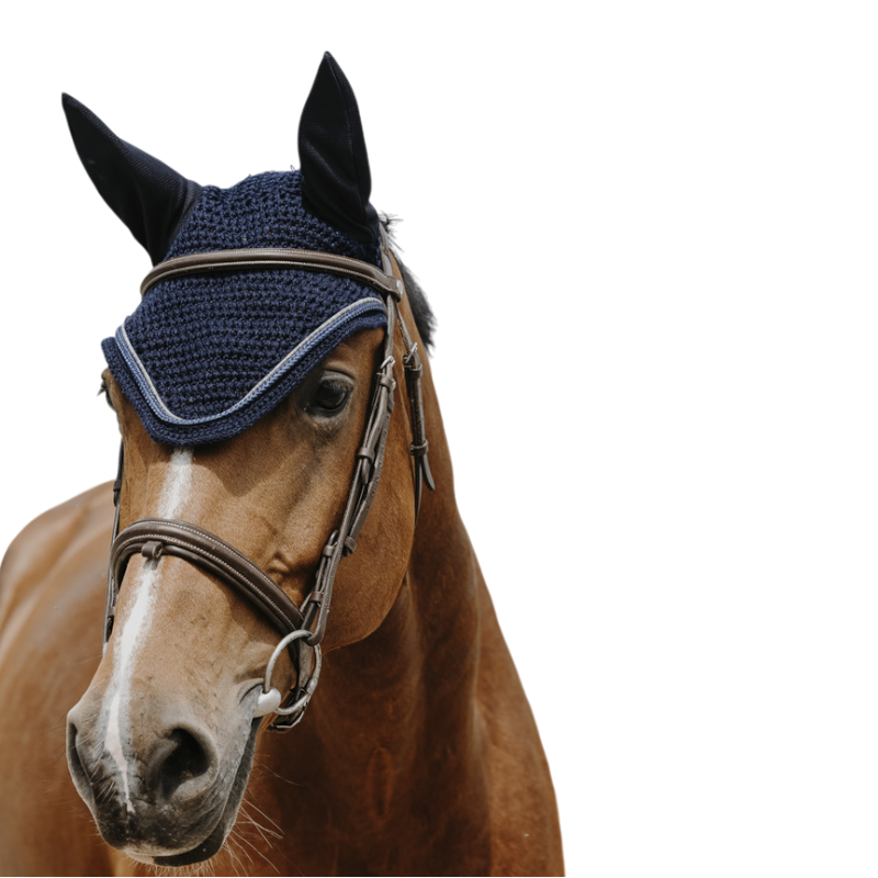 Equithème - Bonnet pour chevaux Hexalight marine | - Ohlala