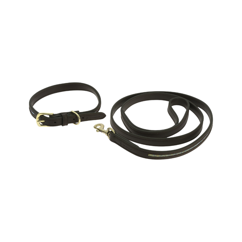 Equithème - Collier et laisse pour chien Max marron | - Ohlala