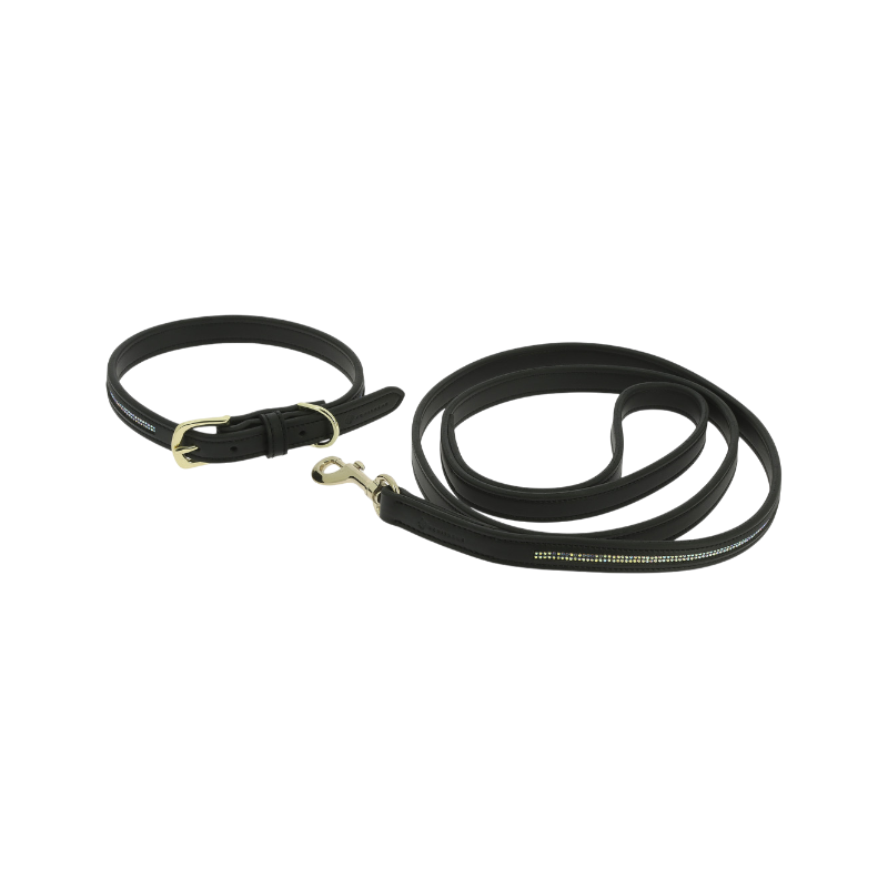Equithème - Collier et laisse pour chien Max noir | - Ohlala